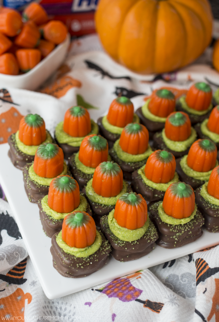 pumpkin-patch-caramel-pretzels