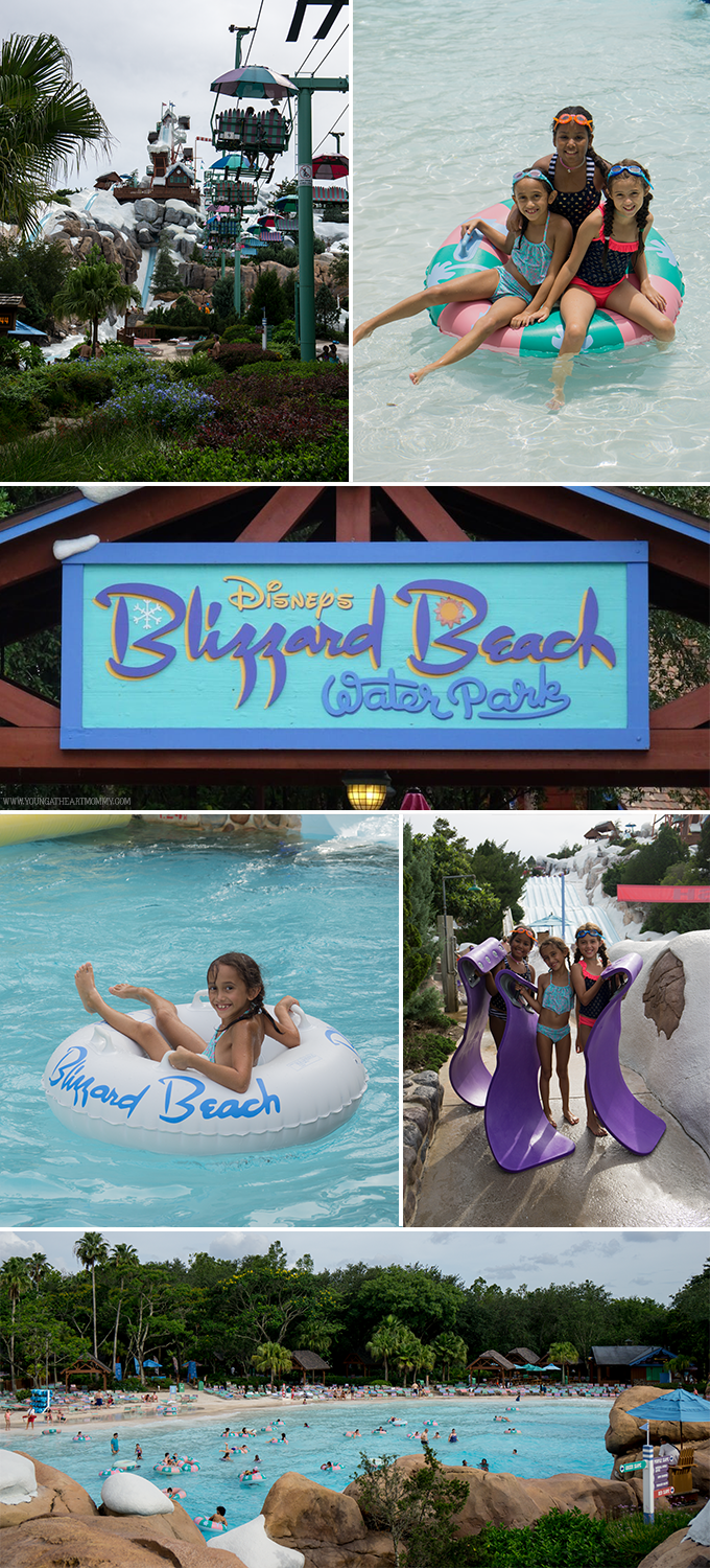 Disney's Blizzard Beach Water Park