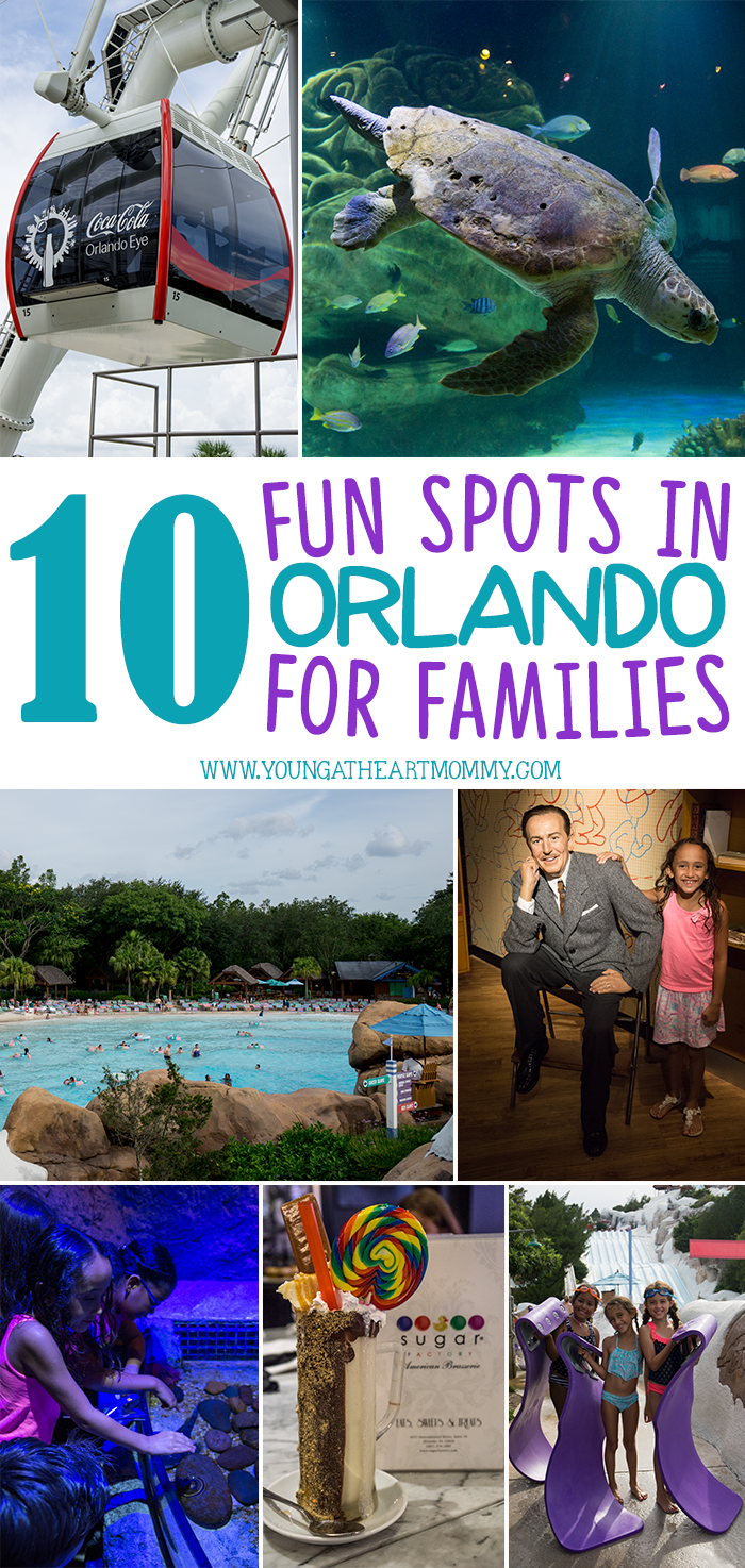 10 Fun Spots In Orlando For Families To Visit This Summer