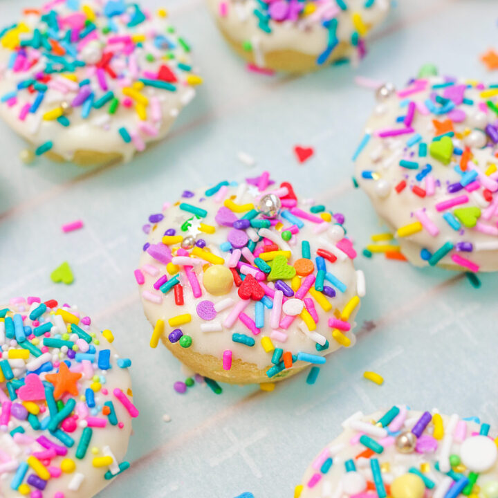 Mini Funetti Donuts With Sprinkles